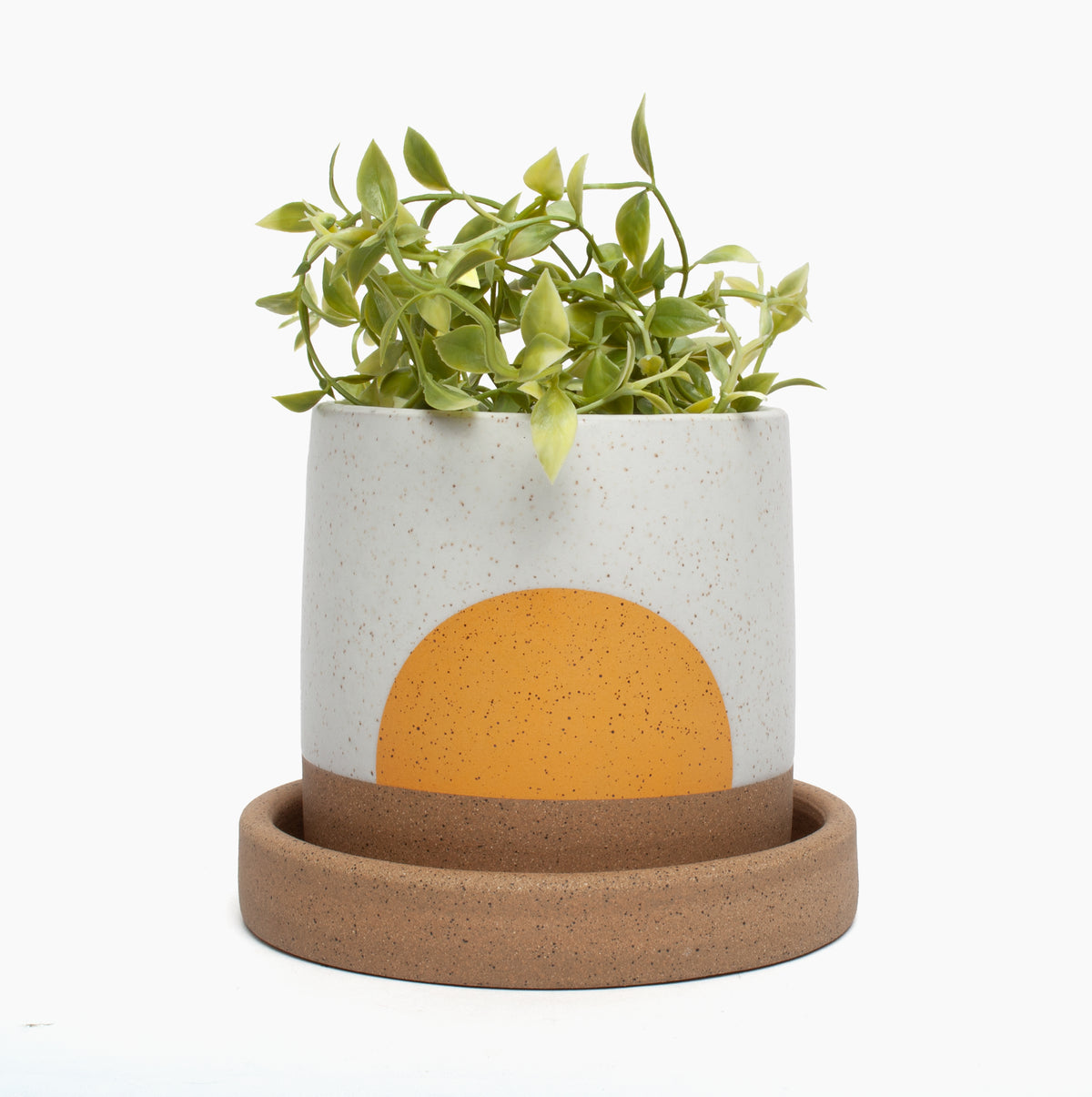 Wolf Planter with Tray