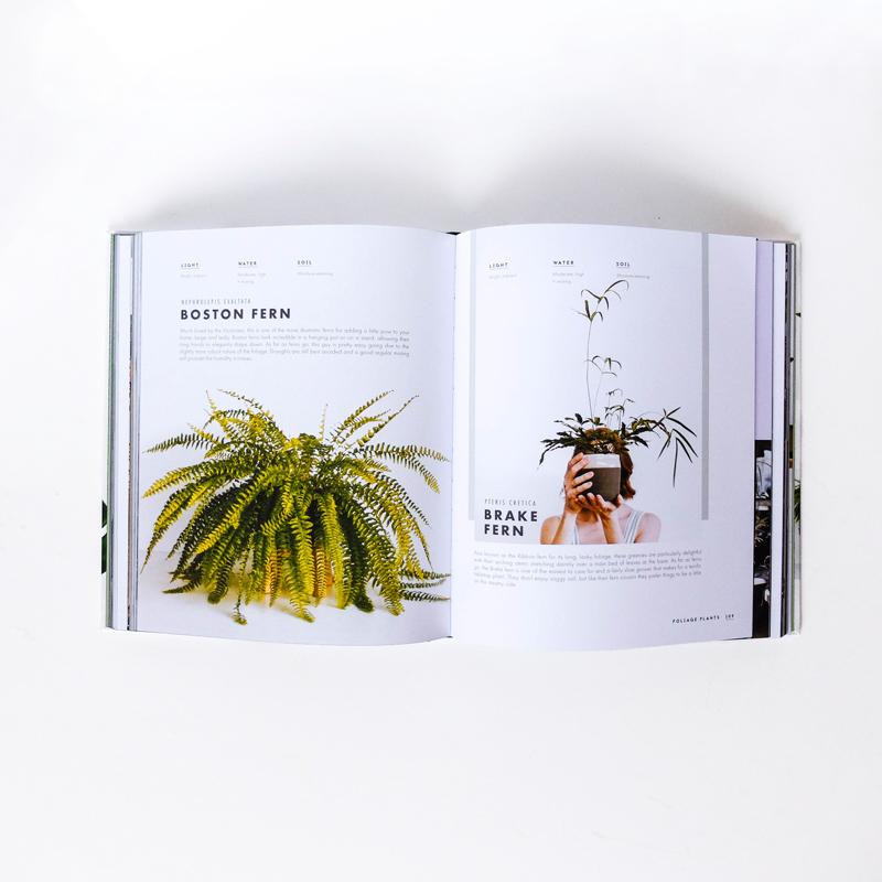 Leaf supply book inside pages