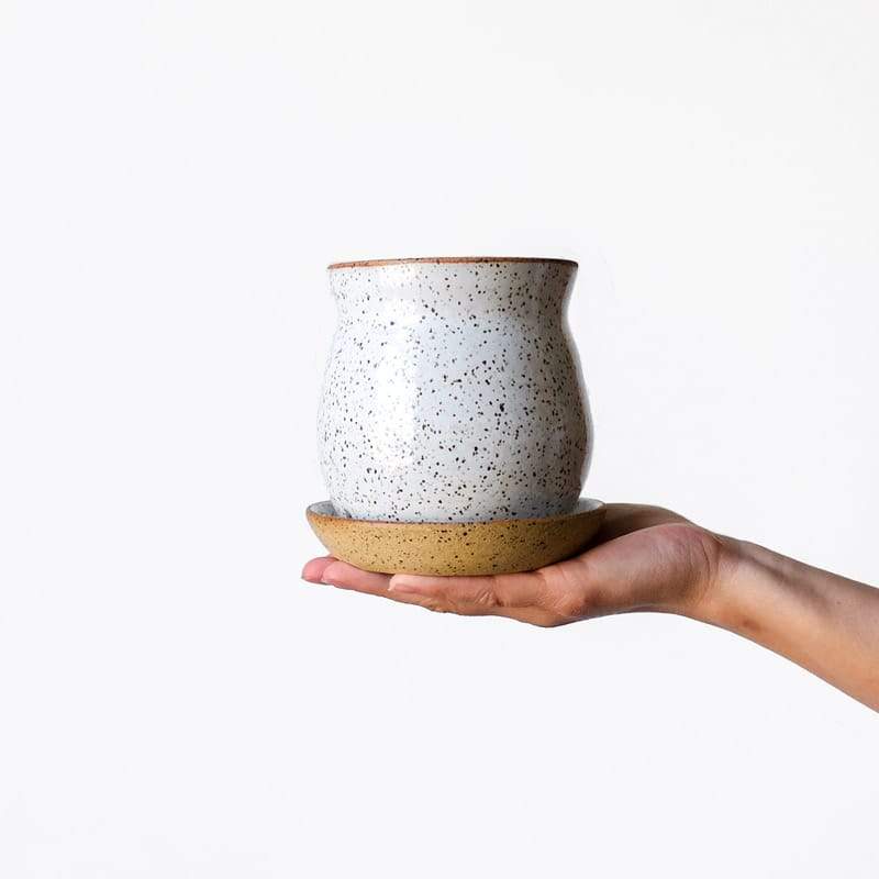 Margaret & Beau Medium Planter White Speckled Solid