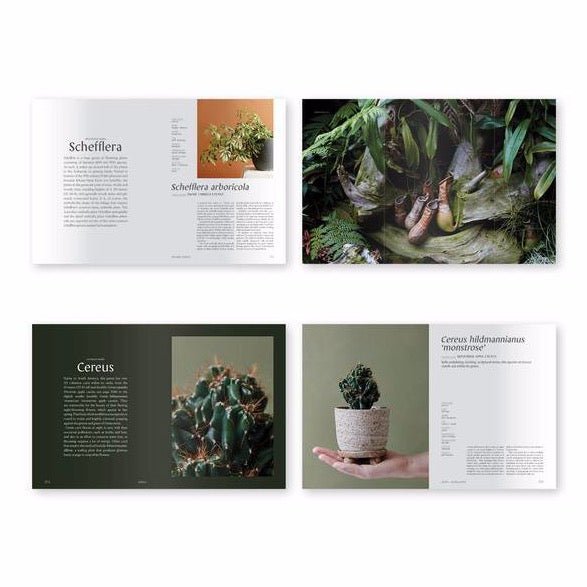 Preview pages of "PLANTOPEDIA: THE DEFINITIVE GUIDE TO HOUSEPLANTS." Co-authored by Lauren Camilleri and Sophia Kaplan. Published by Random House Books.