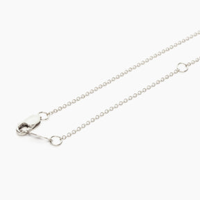 Medallion Chain