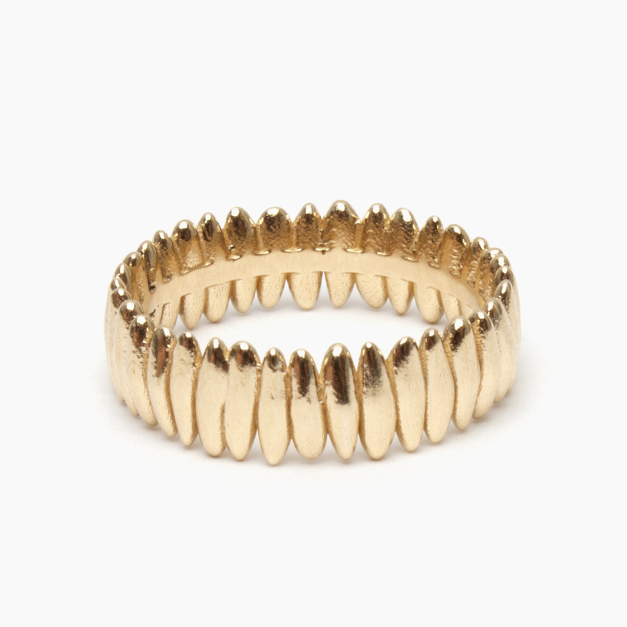 Ryzi ring