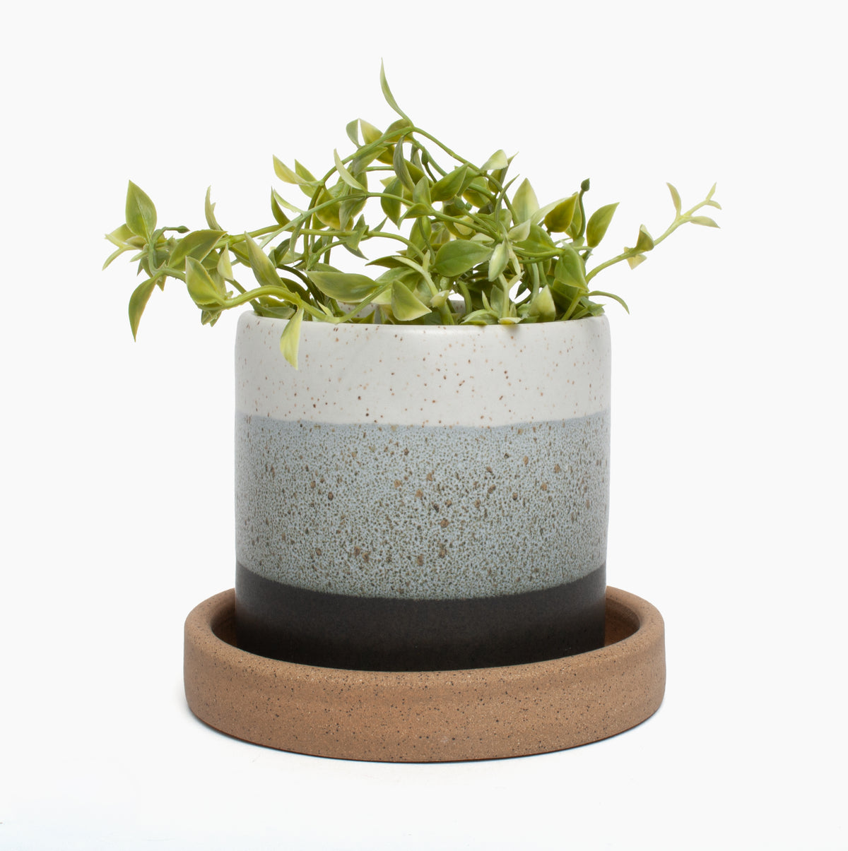 Wolf Planter with Tray