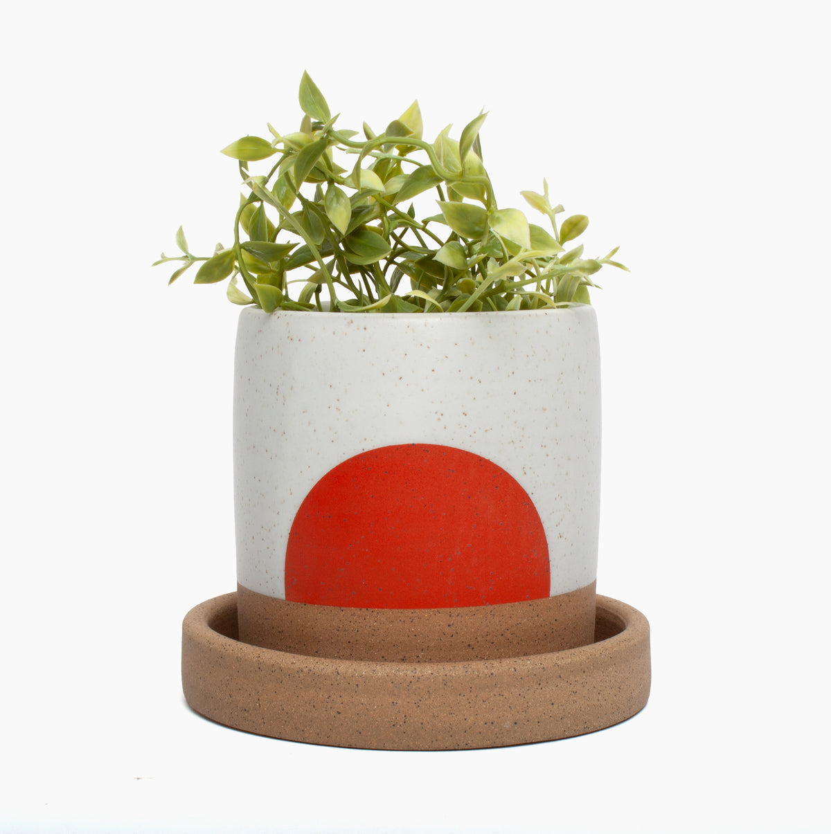 Wolf Planter with Tray