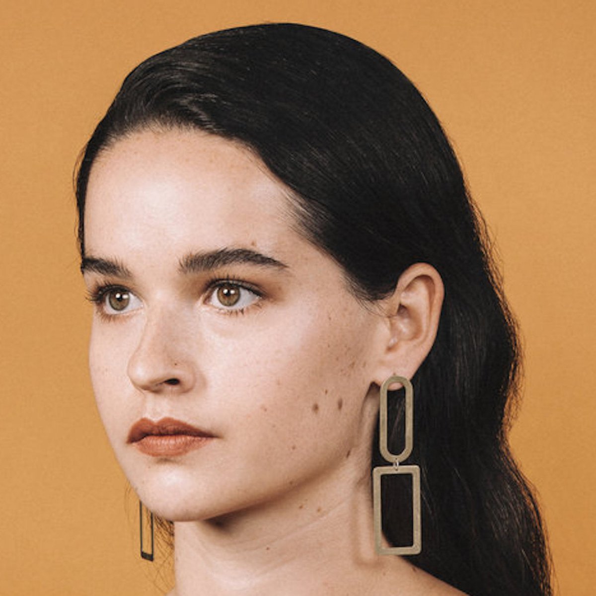 Elongated Shape Earrings