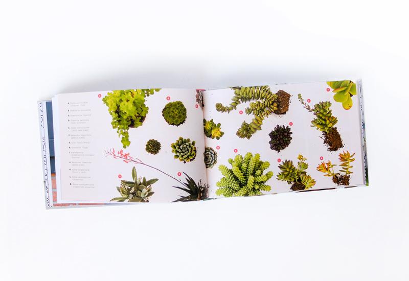 How To Window Box
