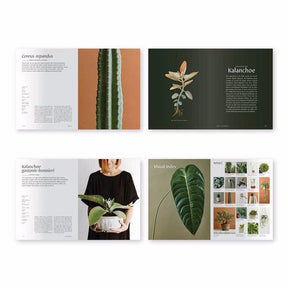 Preview pages of "PLANTOPEDIA: THE DEFINITIVE GUIDE TO HOUSEPLANTS." Co-authored by Lauren Camilleri and Sophia Kaplan. Published by Random House Books.