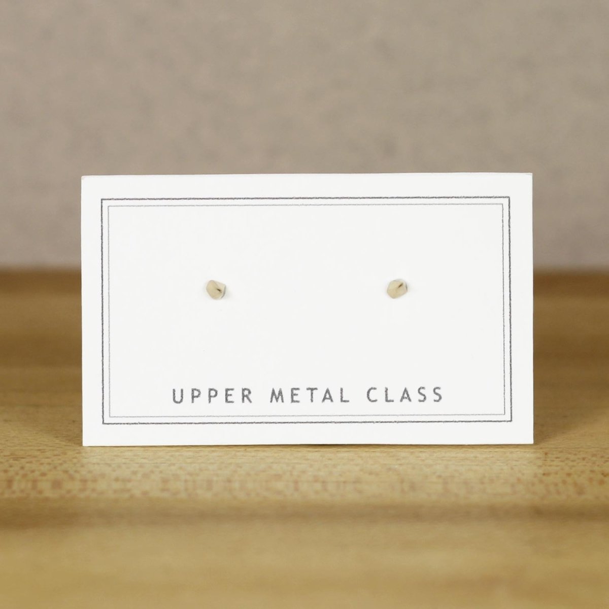 Upper Metal Class Earrings Silver Montauk Point