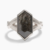 Hexagonal salt & pepper diamond Veritas ring. With a chevron woven 14K white gold band. Made in Portland, Oregon.