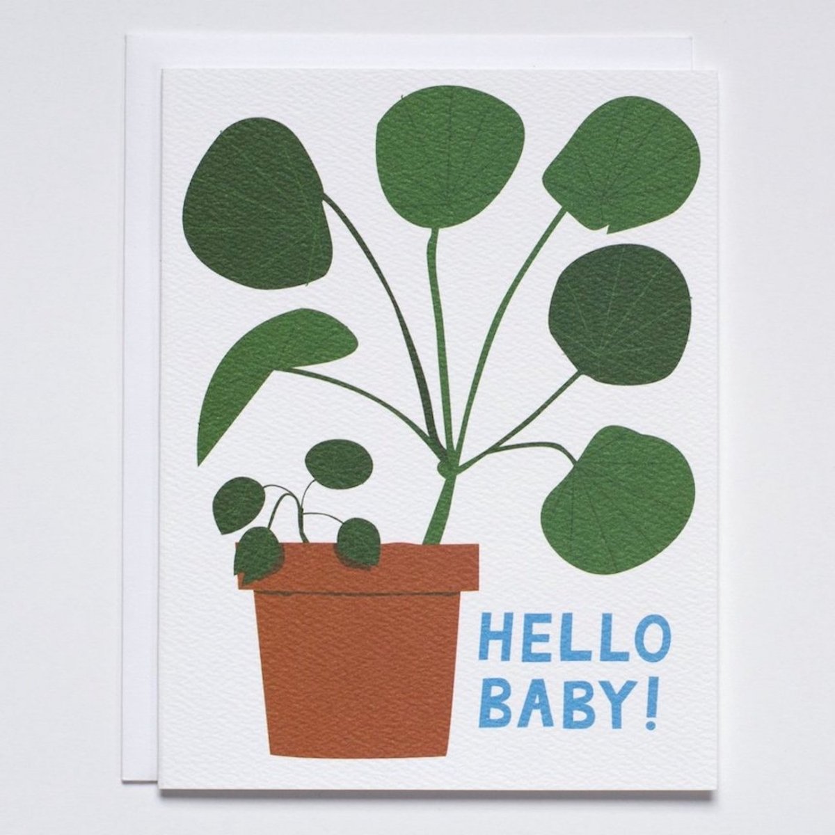 White card with an image of a Pilea plant in a terracotta pot. Bottom of card reads: "HELLO BABY!" in blue font. Made with recycled paper by Banquet Atelier in Vancouver, British Columbia, Canada.